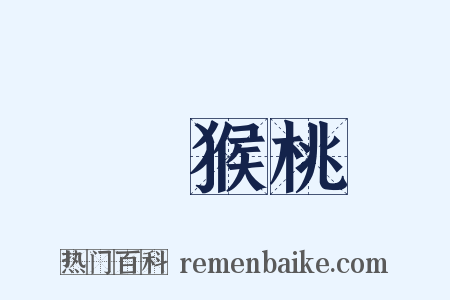獼猴桃是什么意思的图片